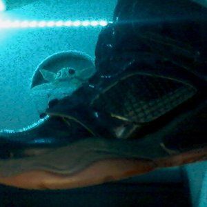 Jordan max 270 4.5 youth